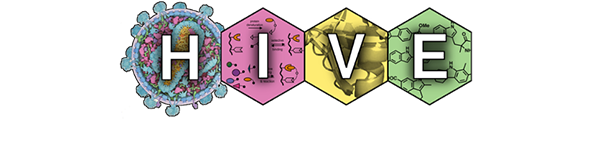 The HIV Interactions in Viral Evolution  Logo