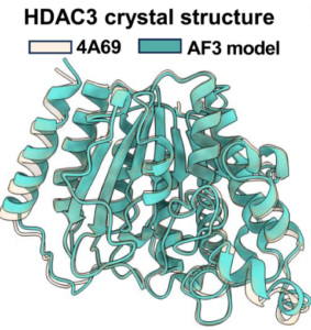 Li, Fig4A